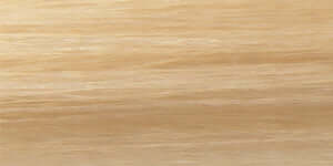 Aloxxi Chroma color 11N Andiamo Let’s Go Platinum